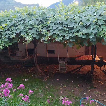 Guest House Nene Mestia Ngoại thất bức ảnh